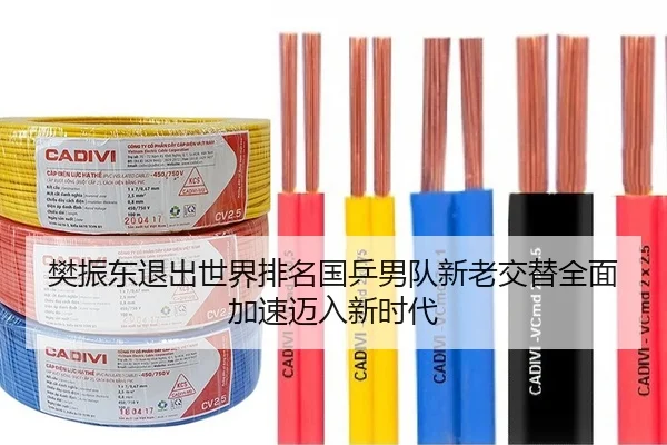 樊振东退出世界排名国乒男队新老交替全面加速迈入新时代